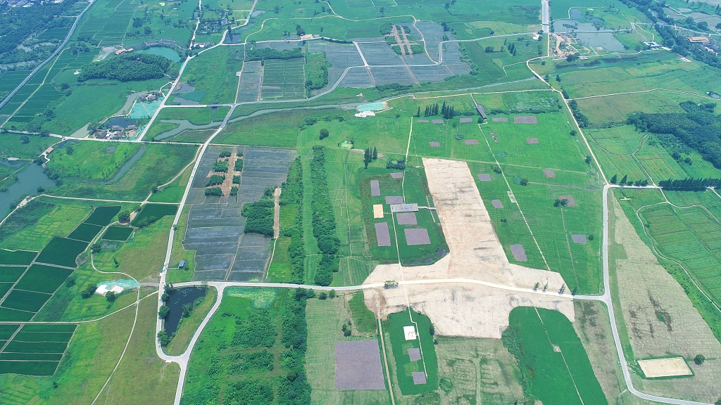An aerial view of a section of the Liangzhu Archaeological Site in Hangzhou, Zhejiang, July 7, 2019. /CFP
