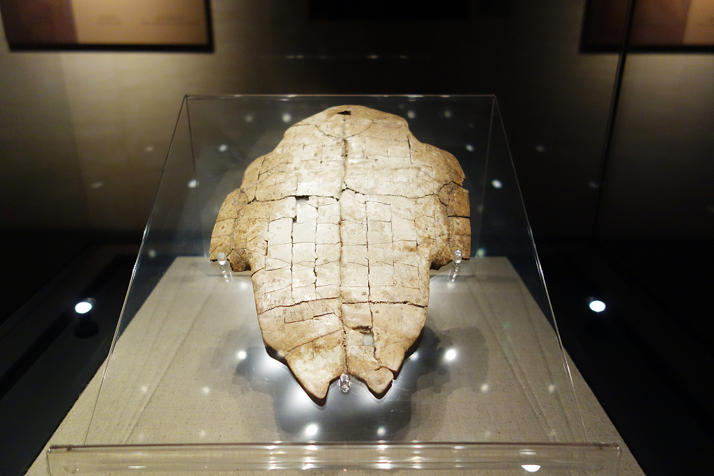 Oracle bones on display at the museum of Yinxu, or the Yin Ruins, in Anyang, Henan, June 11, 2013. /CFP
