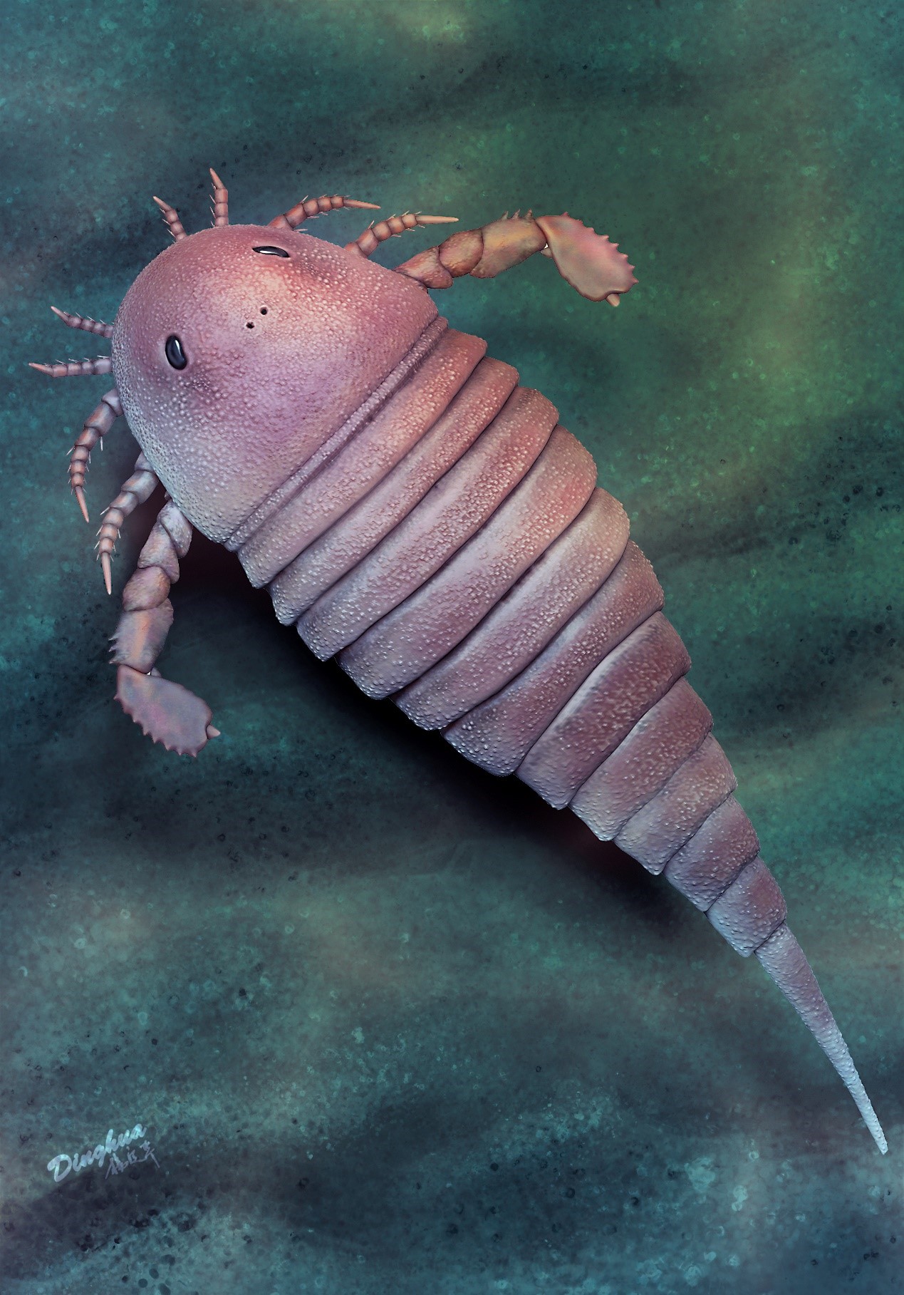 The restored image of a sea scorpion based on some 450-million-year-old fossils. /Nanjing Institute of Geology and Palaeontology of the Chinese Academy of Sciences