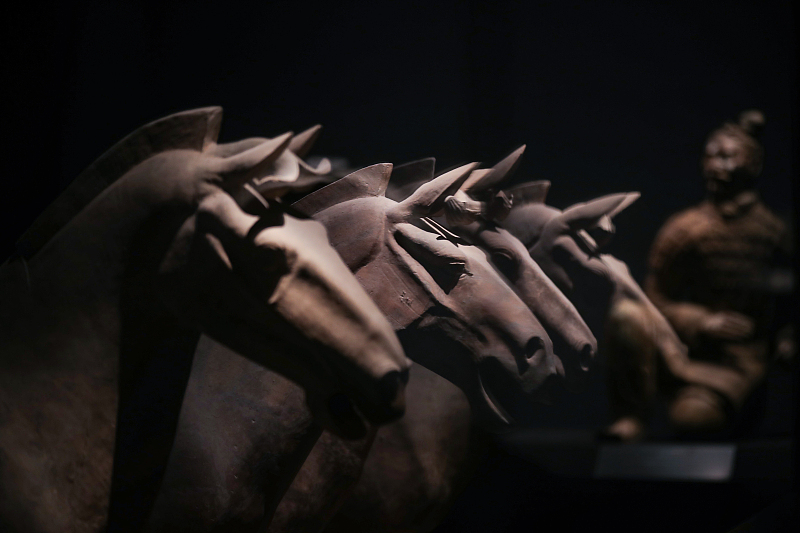Horse statues on display at the Shaanxi History Museum in Xian, Shaanxi /CFP
