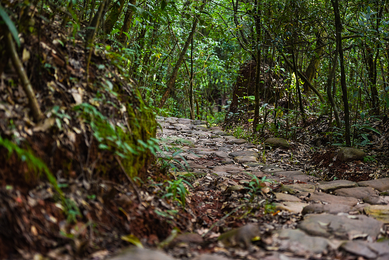 The Yunnan-Tibet Tea Horse Road was an important trade route between ancient China and South Asia. /CFP