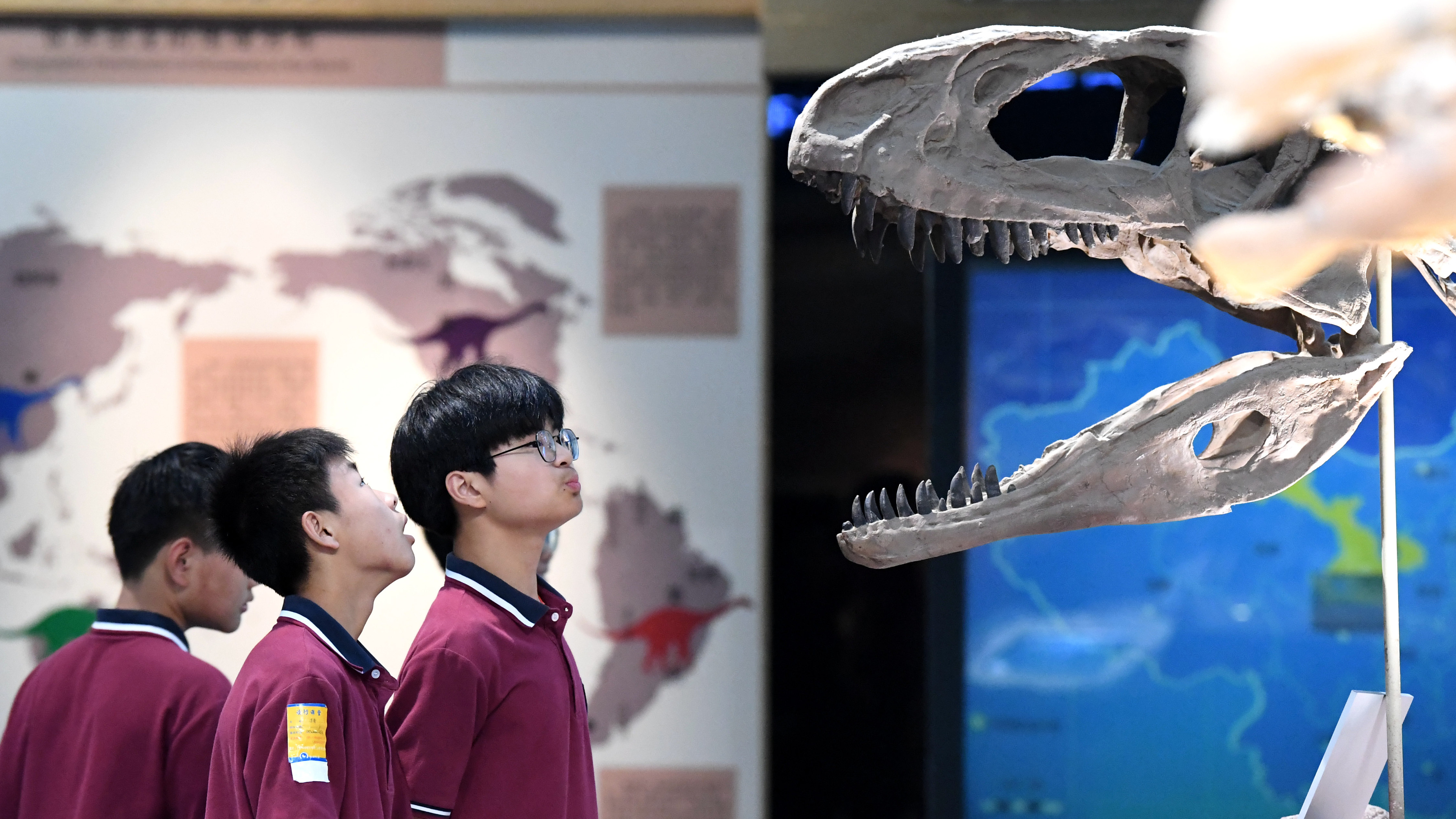 Students visit Anhui Geological Museum in Hefei, capital of east China's Anhui Province, May 17, 2023. /CFP