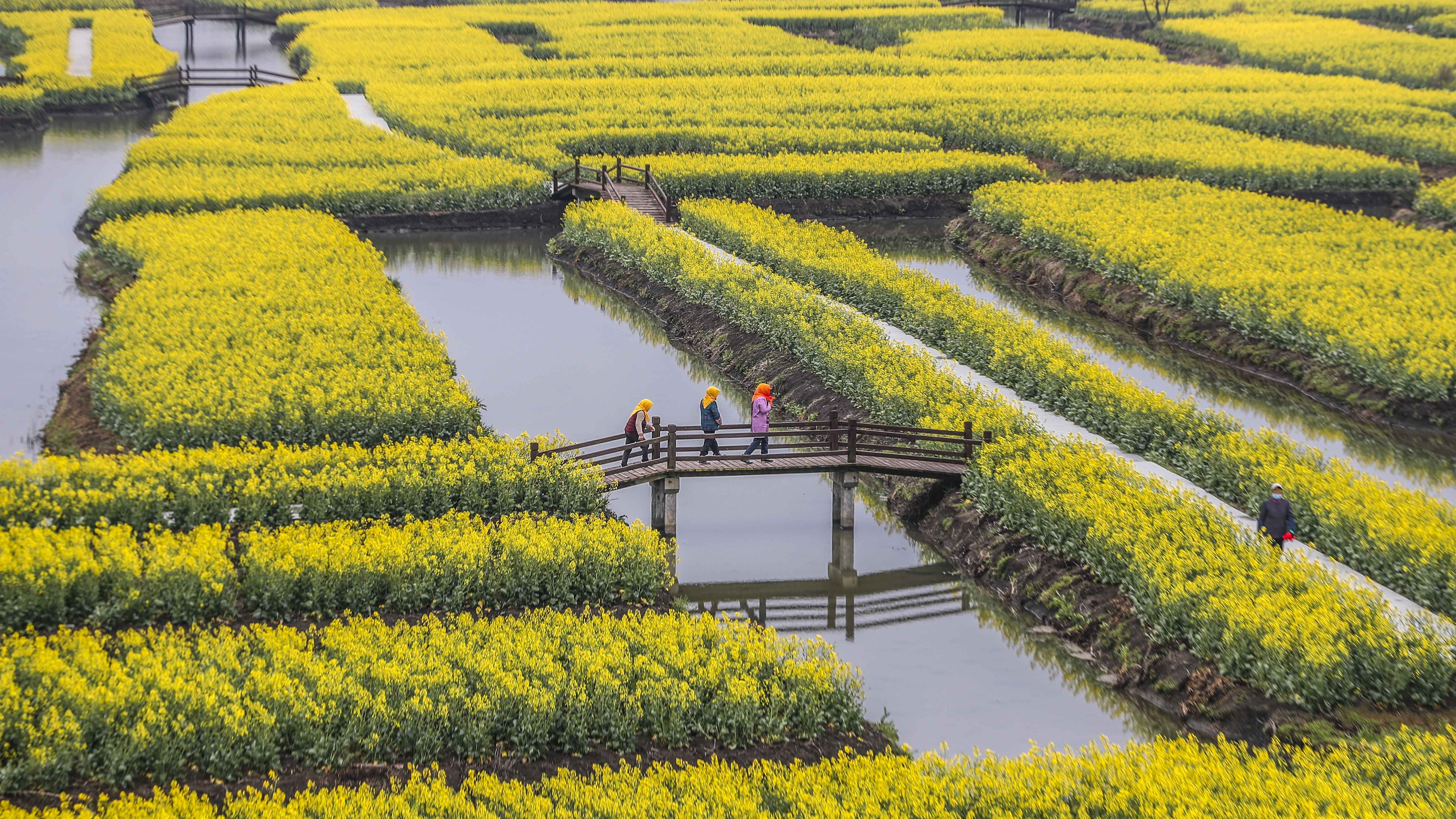 View of rapeseed flower field in Xinghua, Taizhou, east China's Jiangsu Province, March 18, 2022. /CFP