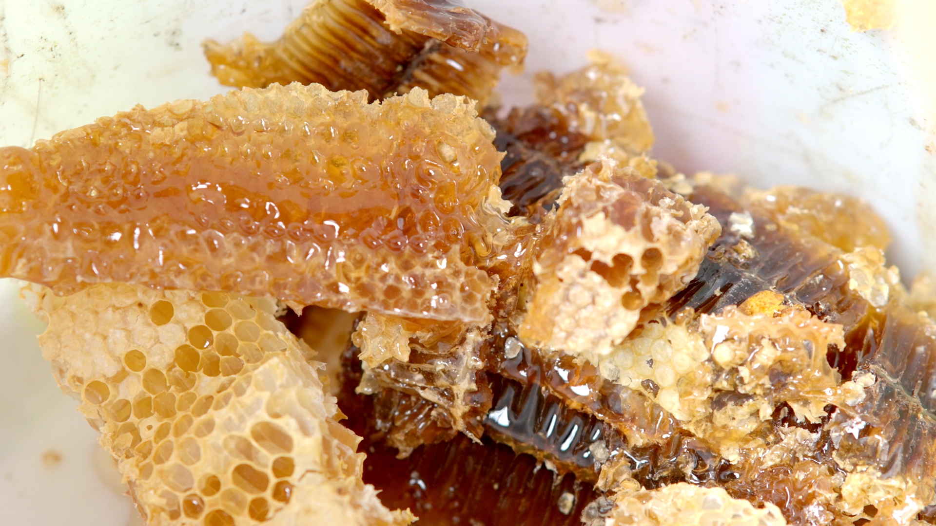 Central Guizhou Series | Episode 4: Mountains' bounty