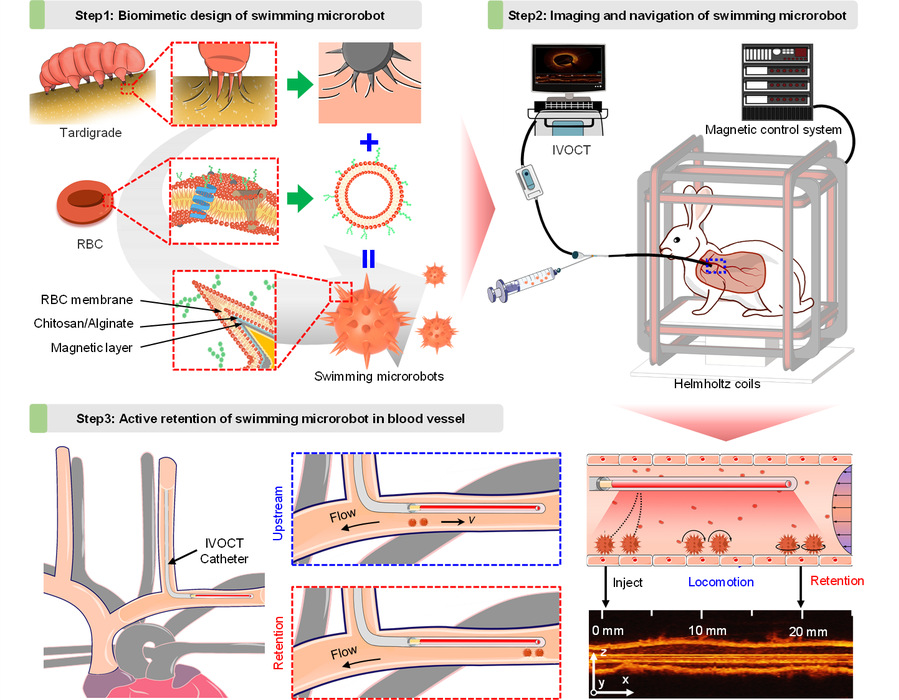 The working mechanism of the clawed microrobot. /HIT