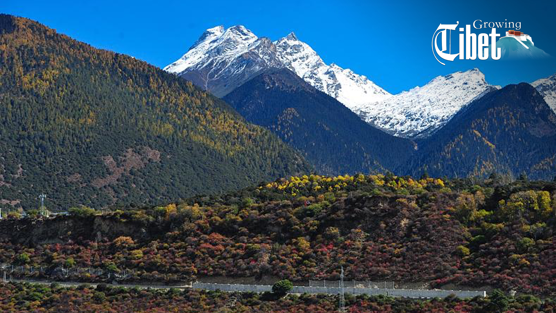 Live: Magnificent Yarlung Zangbo Grand Canyon in China's Tibet