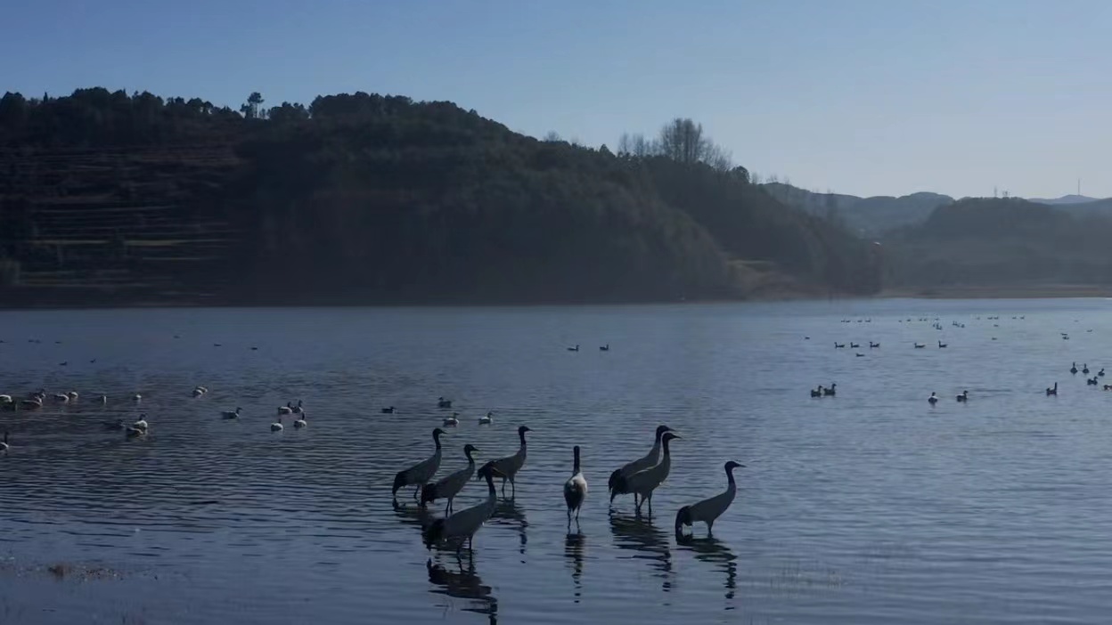 Central Guizhou Series | Episode 6: Fertile hinterland 