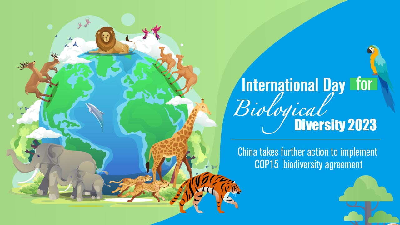 International Day for Biological Diversity 2023. /Designed by CGTN's Jia Jieqiong