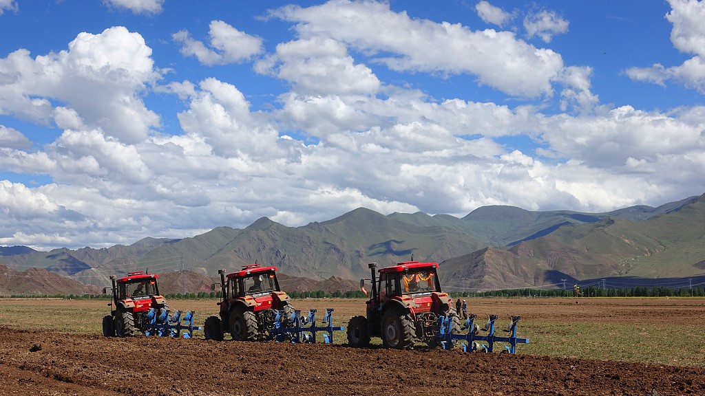 2022 年 6 月 21 日，中国西南部西藏自治区拉萨的农民使用机械播种。/CFP