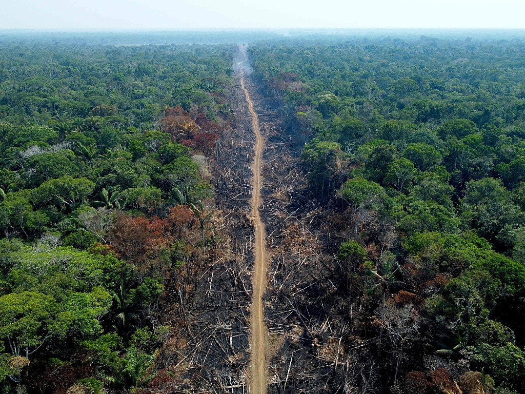 A deforested, burnt area of the Amazon rainforest, September 16, 2022. /CFP