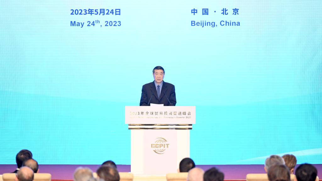 Chinese Vice Premier He Lifeng addresses the opening ceremony of the Global Trade and Investment Promotion Summit of 2023 in Beijing, capital of China, May 24, 2023. /Xinhua