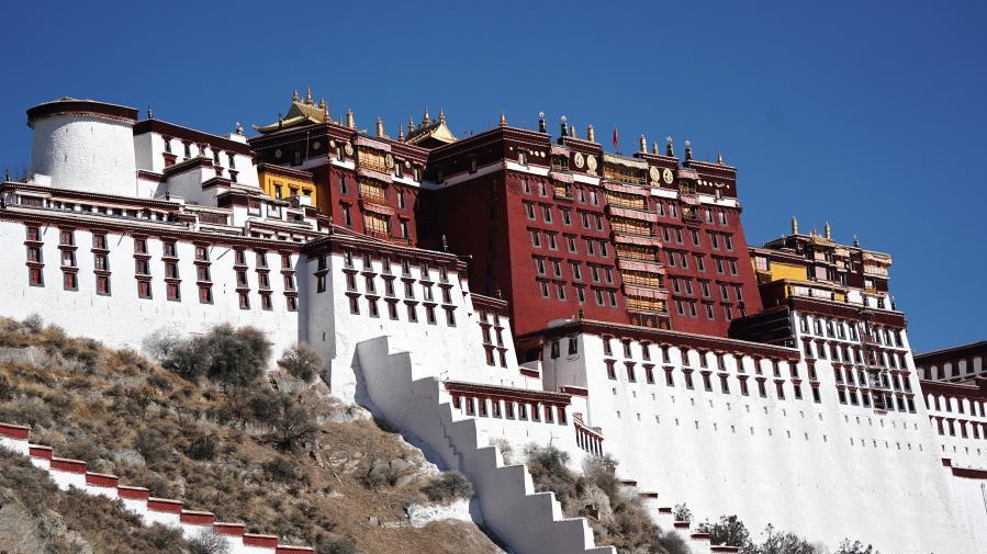 The Potala Palace in Lhasa, capital of southwest China's Xizang Autonomous Region, January 18, 2021. /Xinhua