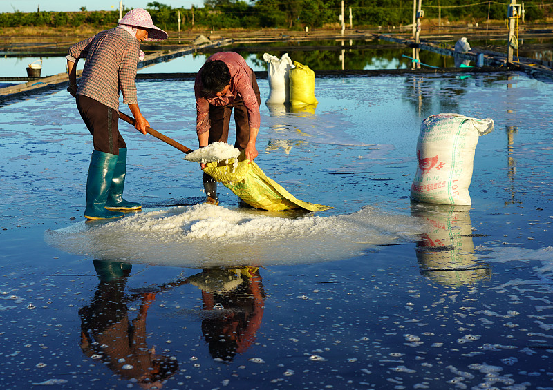 Farmers harvest salt in Wenzhou City, Zhejiang Province on May 29, 2023. /CFP 