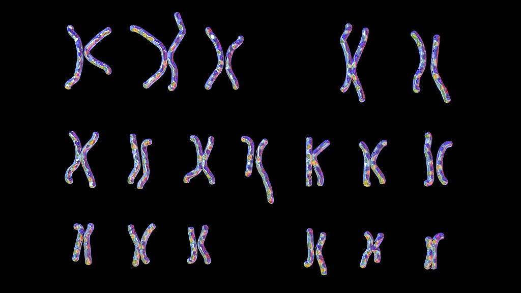 Human chromosomes. /CFP