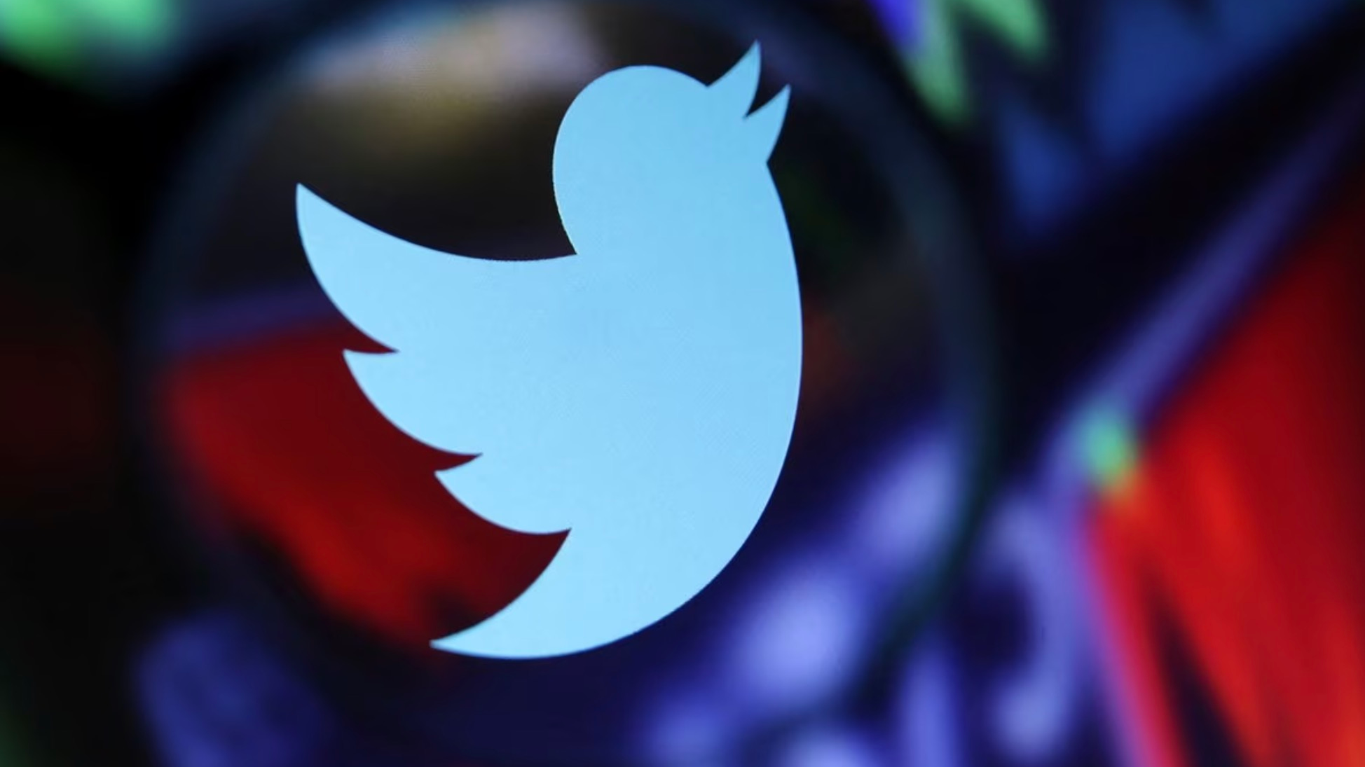 Twitter logo and stock graph are seen through a magnifier displayed in this illustration, September 4, 2022. /Reuters