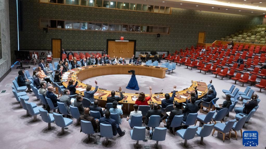 UN Security Council urges ceasefire, humanitarian access in Sudan - CGTN
