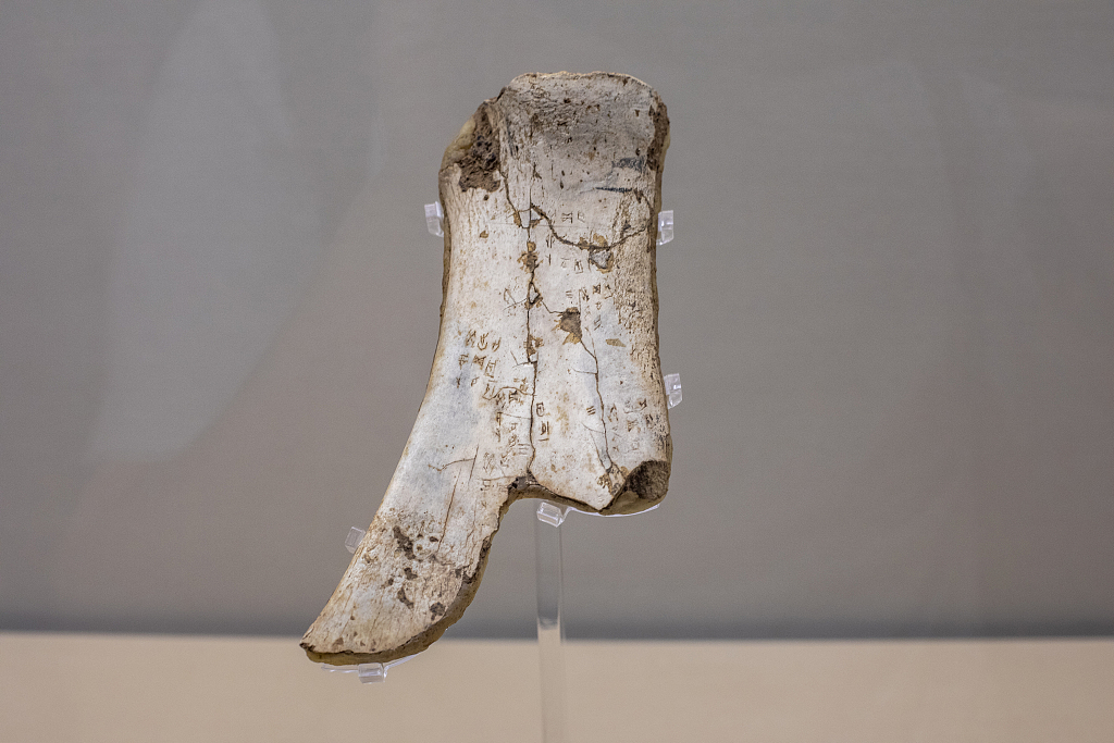 A fragment of oracle bones on display at a museum in Shanghai, July 30, 2022. /CFP