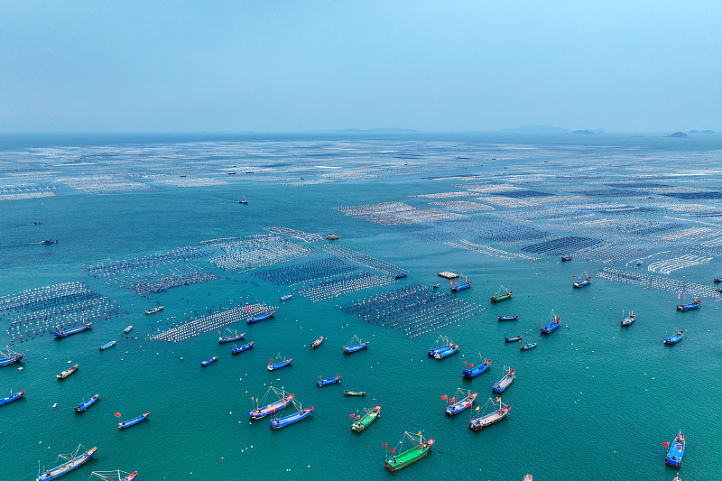 Ships work on a sea ranch at Gouqi Island, Zhoushan, Zhejiang Province on June 3, 2023. /CFP