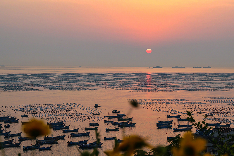 A beautiful sunset view is captured on Gouqi Island, Zhoushan, Zhejiang Province on June 3, 2023. /CFP