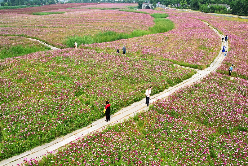 People visit a garden in Hangzhou, Zhejiang Province on June 4, 2023. /CFP