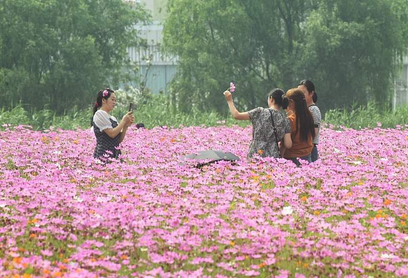 Visitors take photos at a garden in Hangzhou, Zhejiang Province on June 4, 2023. /CFP