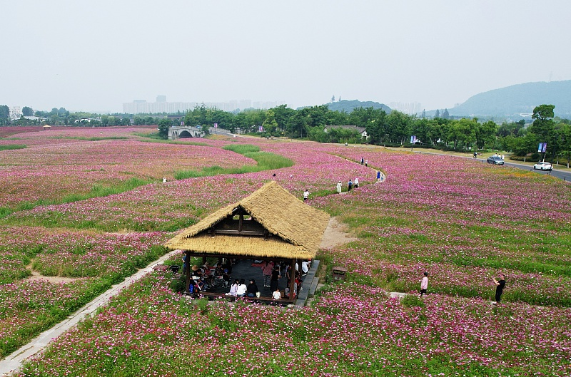 People visit a garden in Hangzhou, Zhejiang Province on June 4, 2023. /CFP