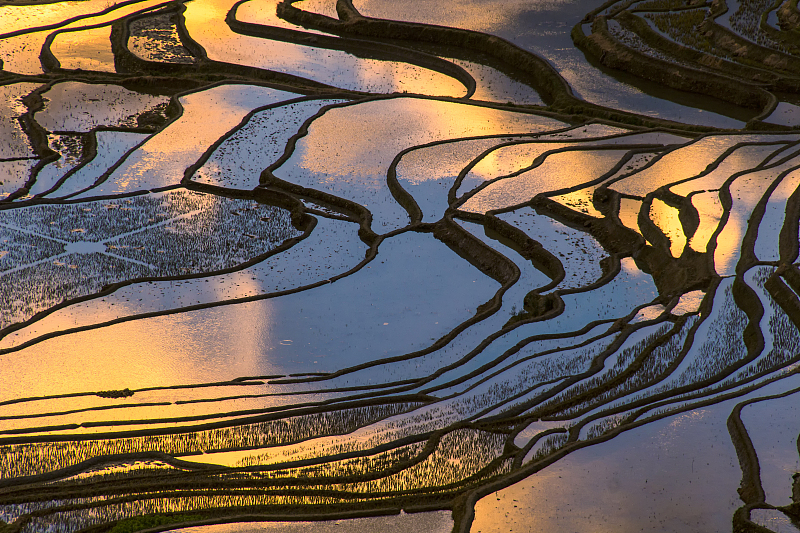 Sunlight reflects on Honghe Hani Rice Terraces area, Yunnan Province. /CFP