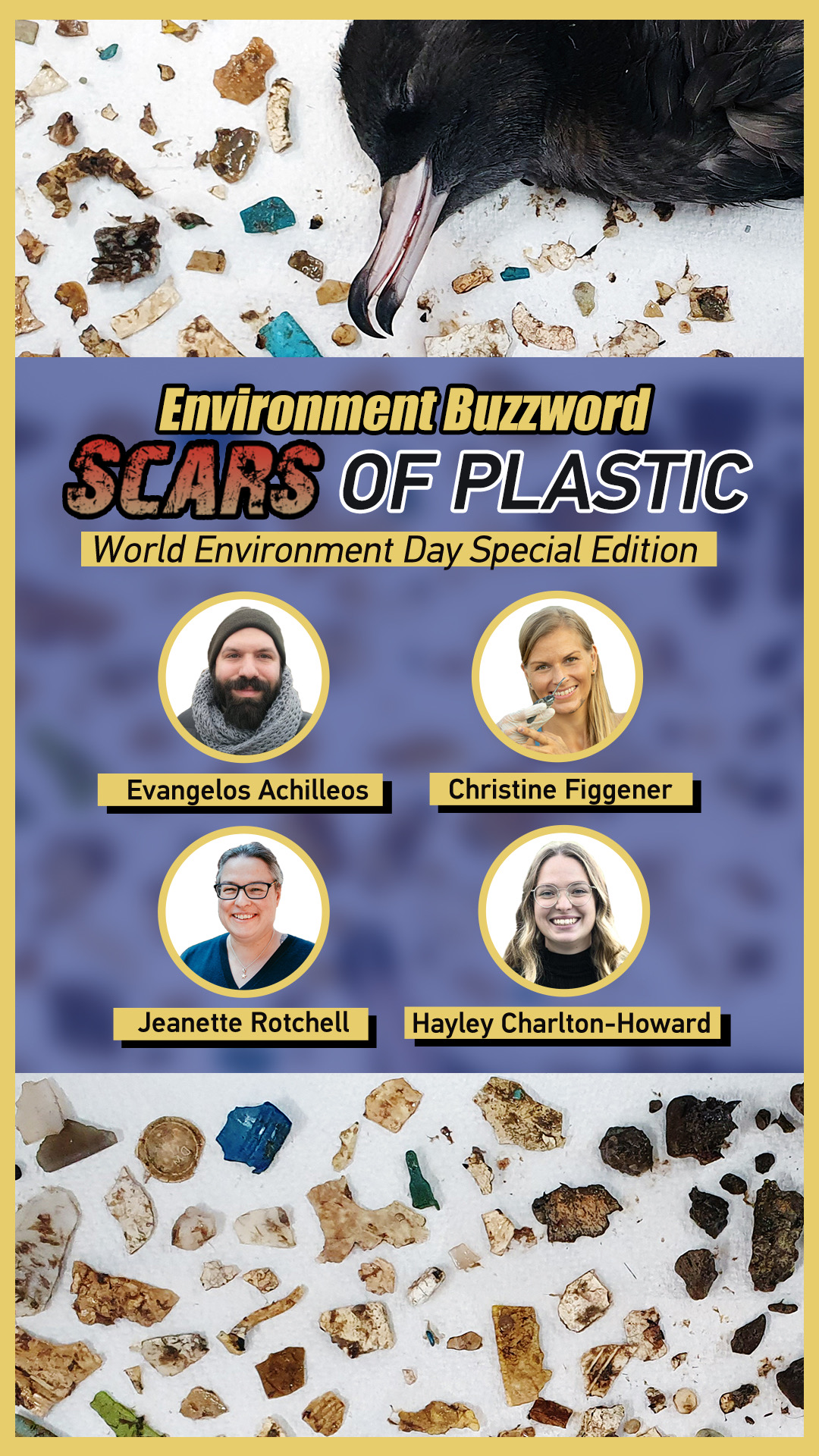 World Environment Day: Scars of plastic