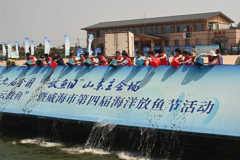 Volunteers release fish fry in Weihai City, east China's Shandong Province. /CFP