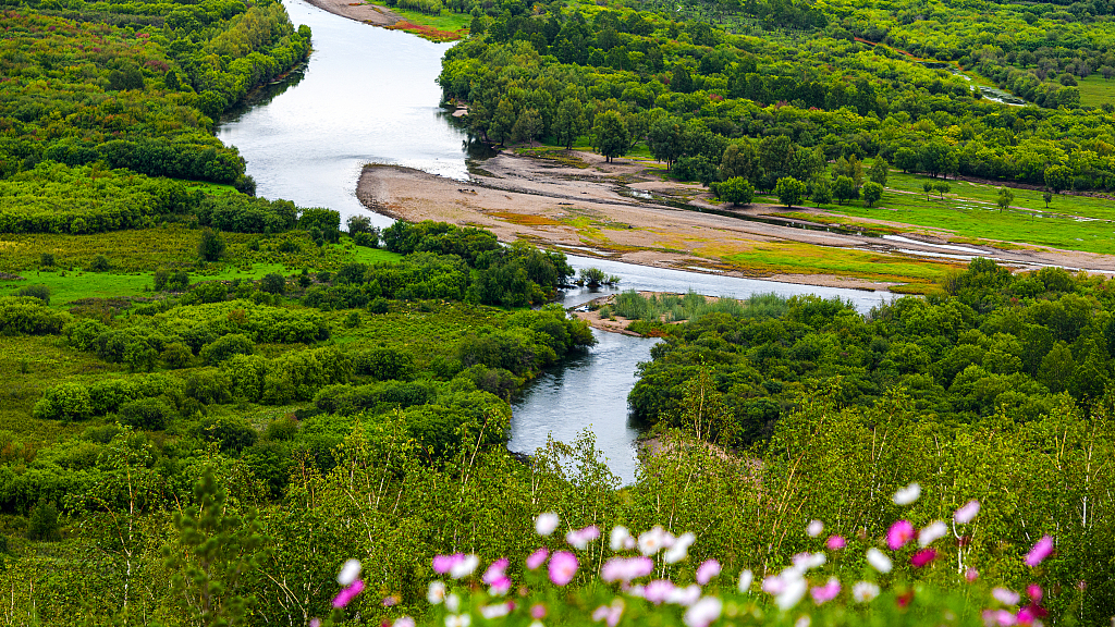 Waterways cut through Ergun National Wetland Park in Inner Mongolia Autonomous Region amid lush forests and foliage. /CFP