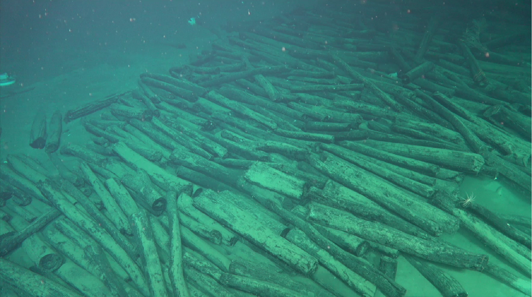 Wood logs found at a shipwreck site in the South China Sea. /National Cultural Heritage Administration