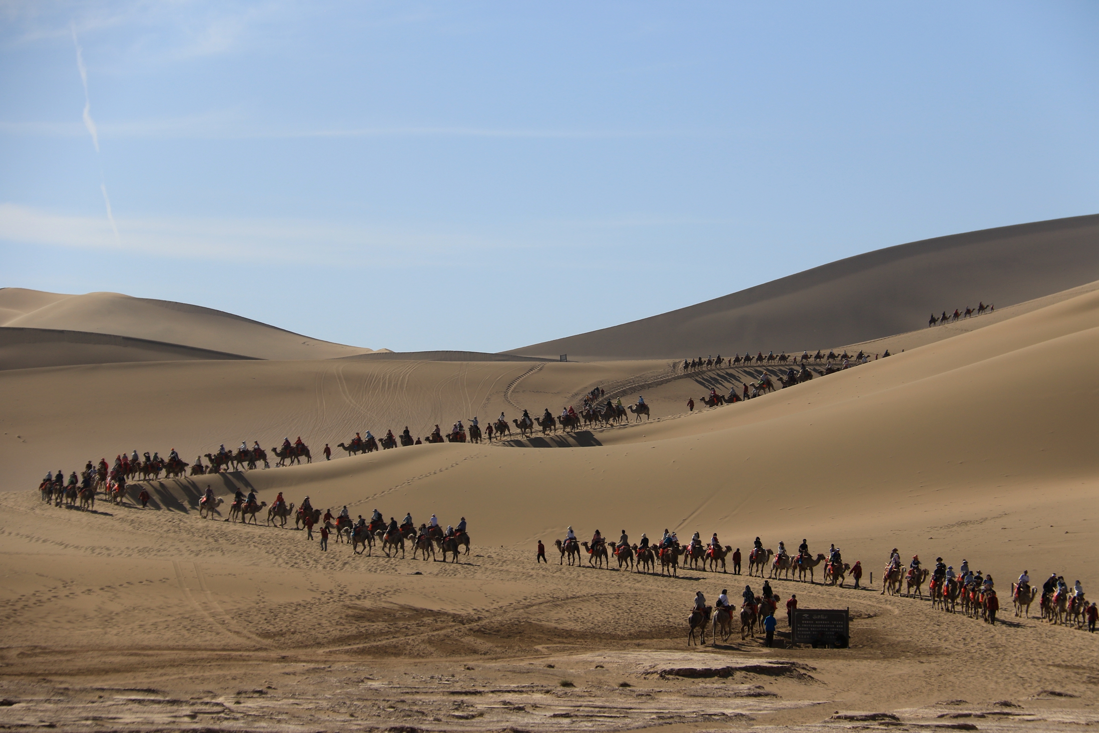 Tourists ride camels at the Crescent Lake Scenic Area at Mingsha Mountain in Dunhuang, northwest China's Gansu Province on June 7, 2023. /CFP
