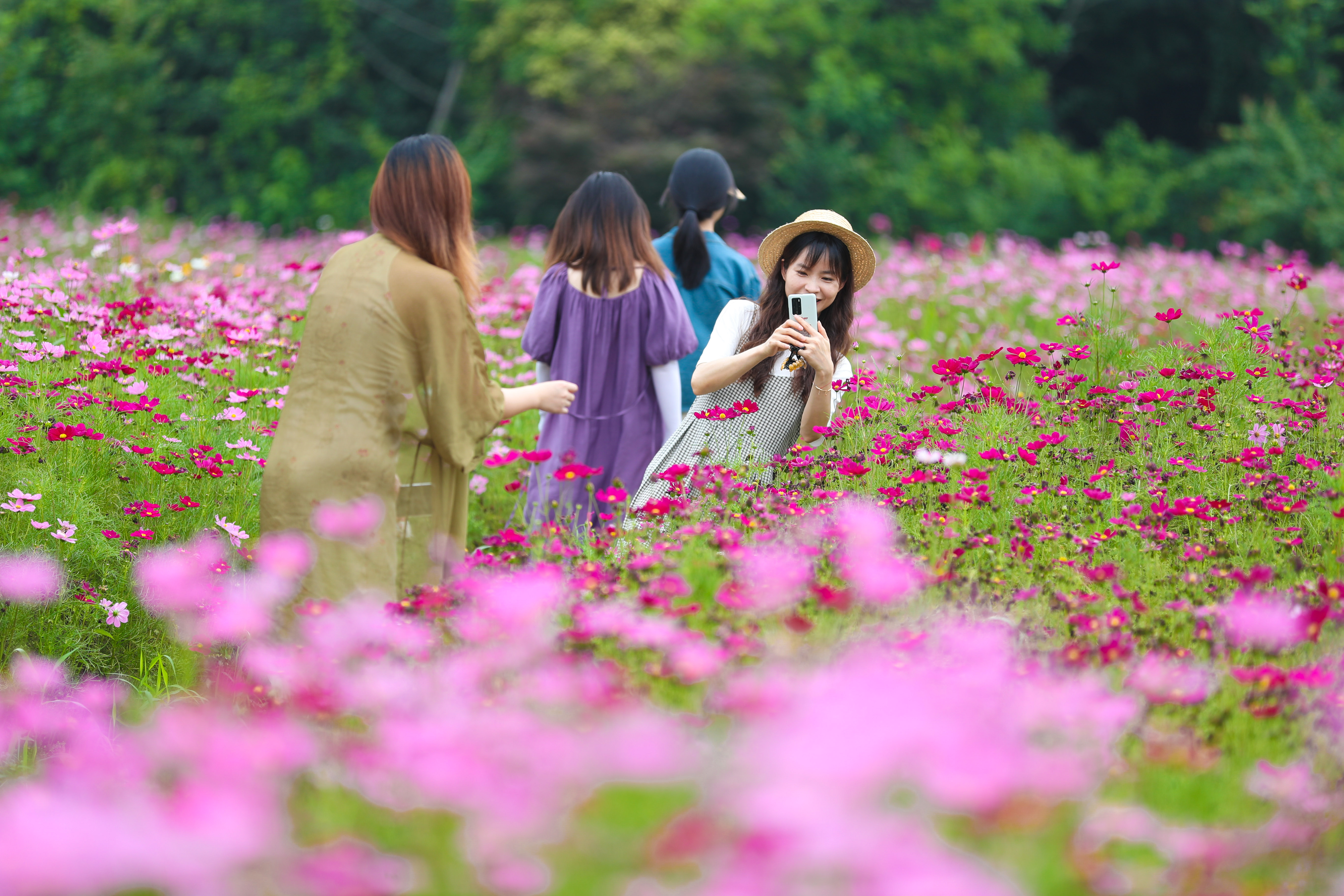 Tourists take photos in a sea of pink coreopsis flowers in Deqing County of Huzhou, east China's Zhejiang Province on June 4, 2023. /CFP