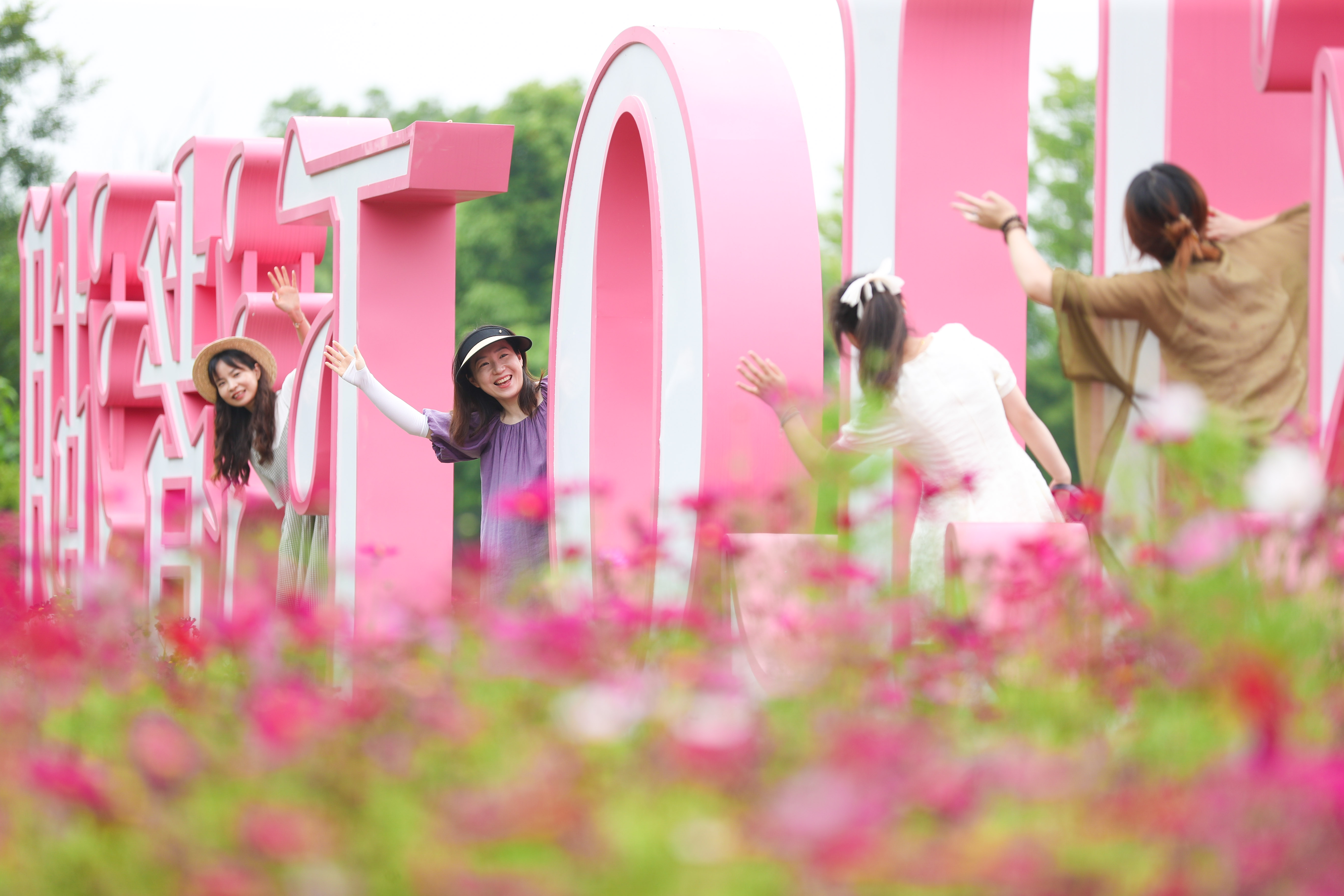 Tourists take photos in a sea of pink coreopsis flowers in Deqing County of Huzhou, east China's Zhejiang Province on June 4, 2023. /CFP