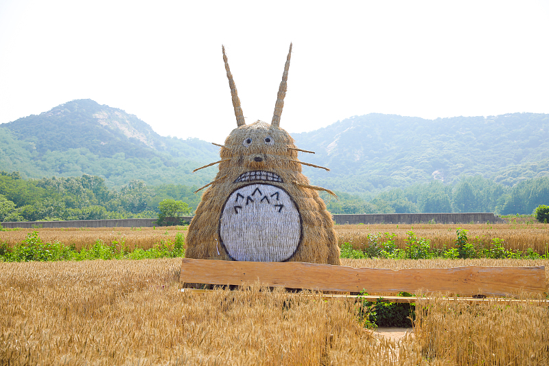 A creative wheat sculpture is on display in Rizhao, Shandong Province, June 6, 2023. /CFP