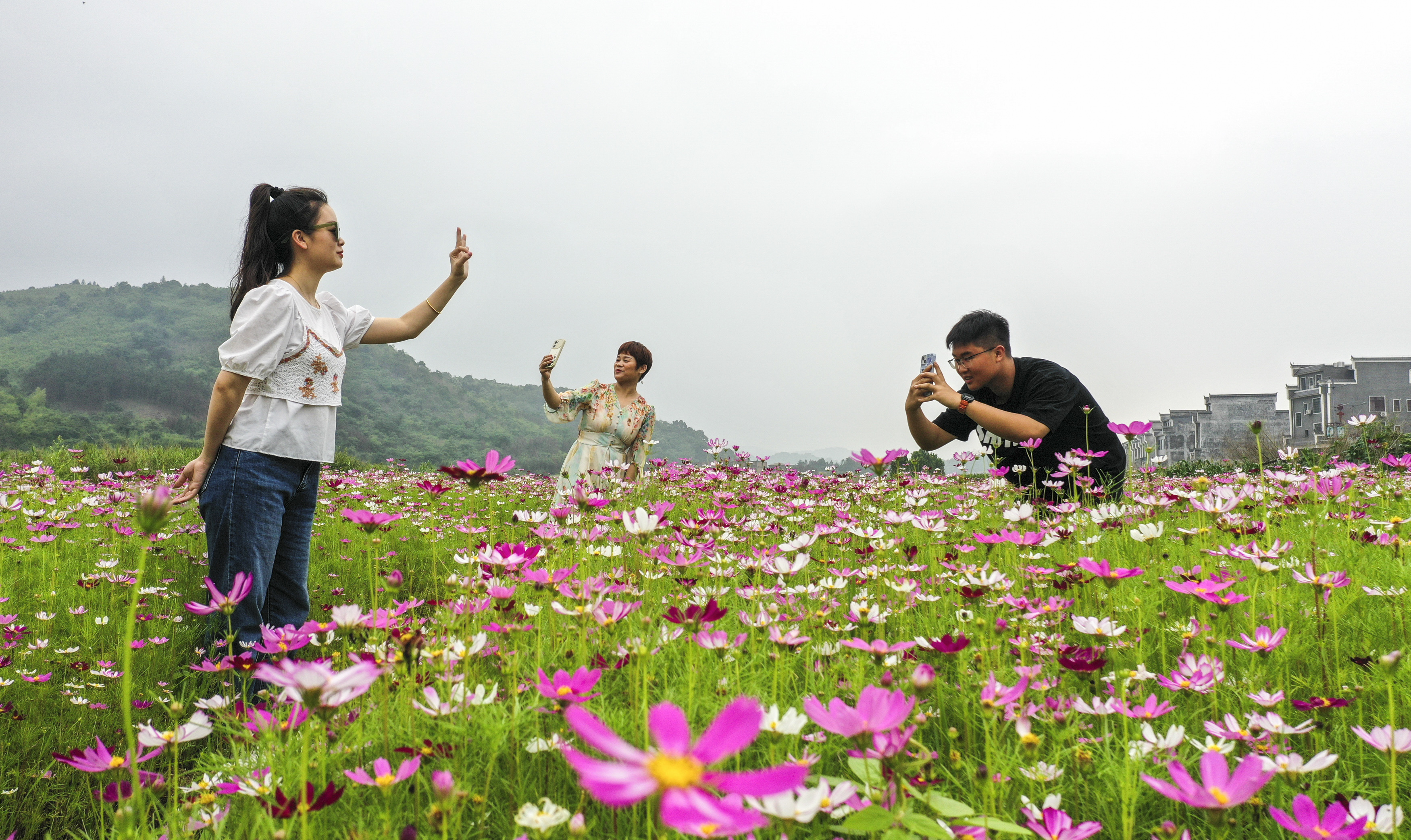 Tourists revel in a sea of galsang flowers in Changning, central China's Hunan, on June 4, 2023. /CNSPhoto