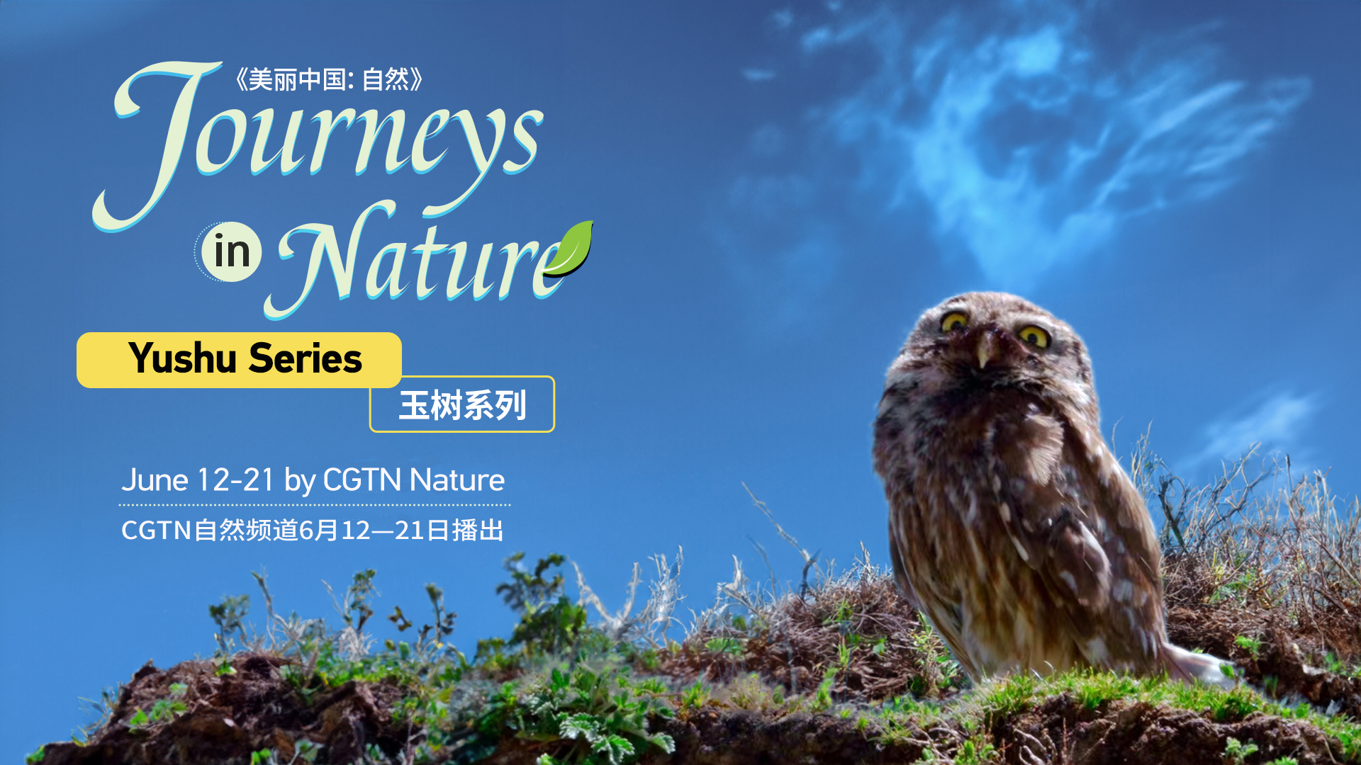 CGTN Nature to release 'Journeys in Nature: Yushu Series'