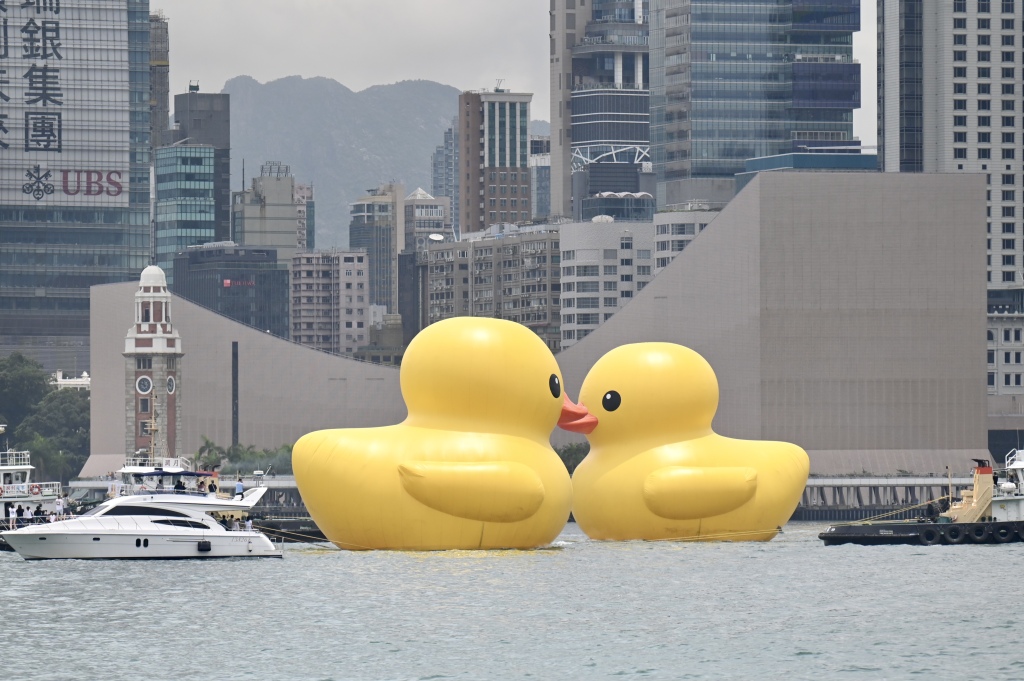 Two giant rubber ducks are anchored in Hong Kong's Victoria Harbor on June 9, 2023./CFP