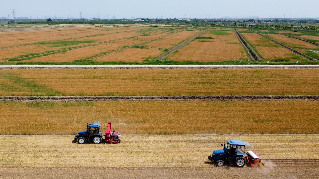Machines working during an activity organized by the local government to demonstrate agricultural machines in Caigong Town of Jinghai District, north China's Tianjin, June 11, 2023. /Xinhua