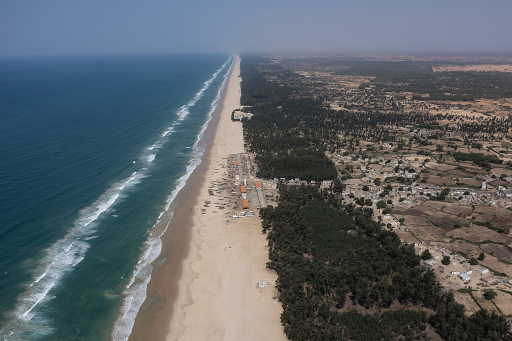 Filao trees, planted to slow coastal erosion along the Atlantic Ocean, line the beach in Lompoul village near Kebemer, Senegal, November 5, 2021. /CFP