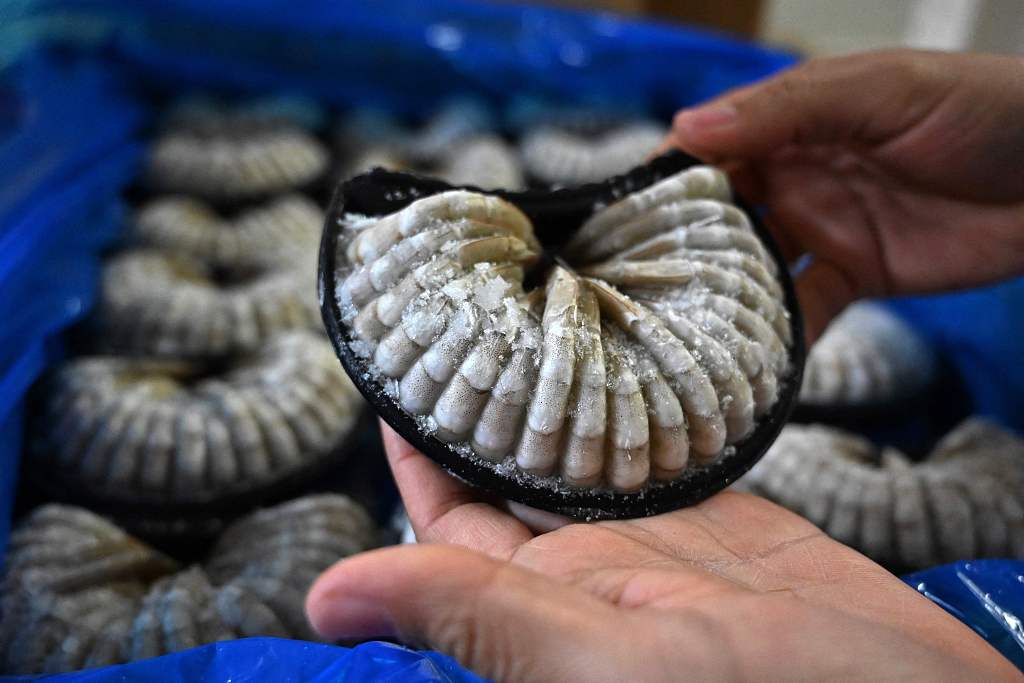 Frozen whiteleg shrimps are ready for exportation in Choluteca, Honduras. /CFP