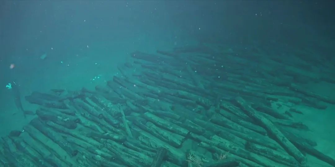 These wooden logs were found at the No.2 shipwreck near the northwest continental slope of the South China Sea. /NCHA