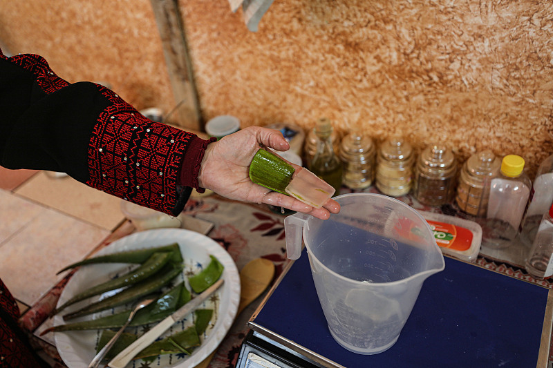 A woman shows aloes that she uses to make soaps, Palestine, April 2023. /CFP