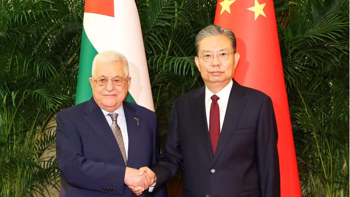 Zhao Leji, chairman of the National People's Congress Standing Committee, meets with Palestinian President Mahmoud Abbas in Beijing, capital of China, June 15, 2023. /Xinhua