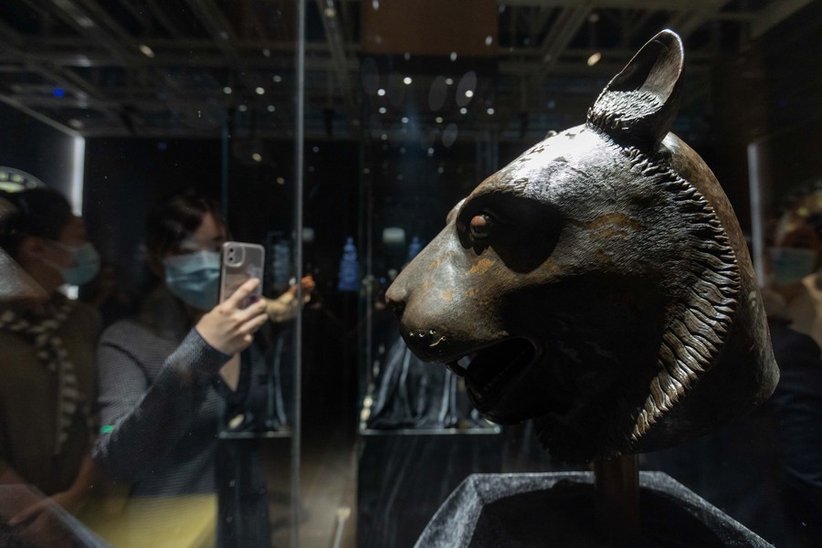 A visitor views a bronze tiger head at 