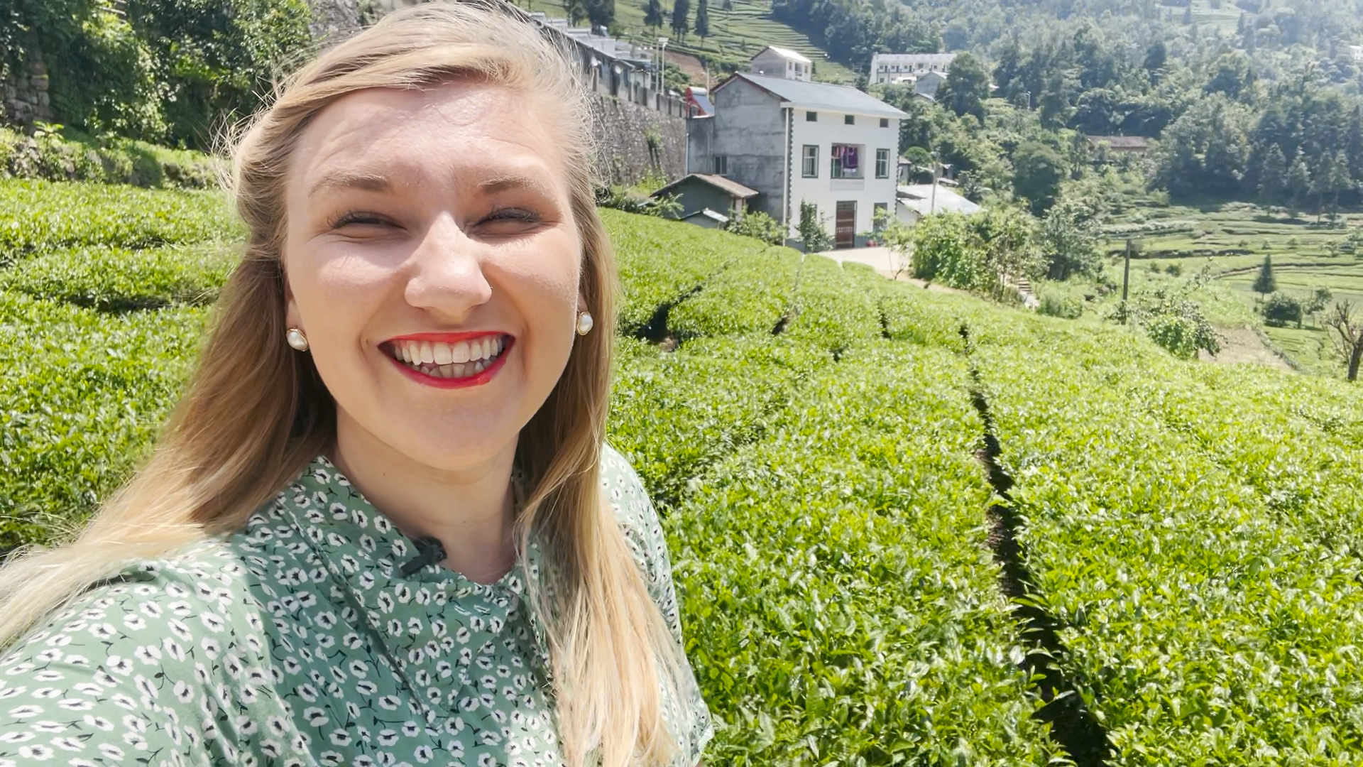 A taste of tea from Qu Yuan's hometown Zigui 