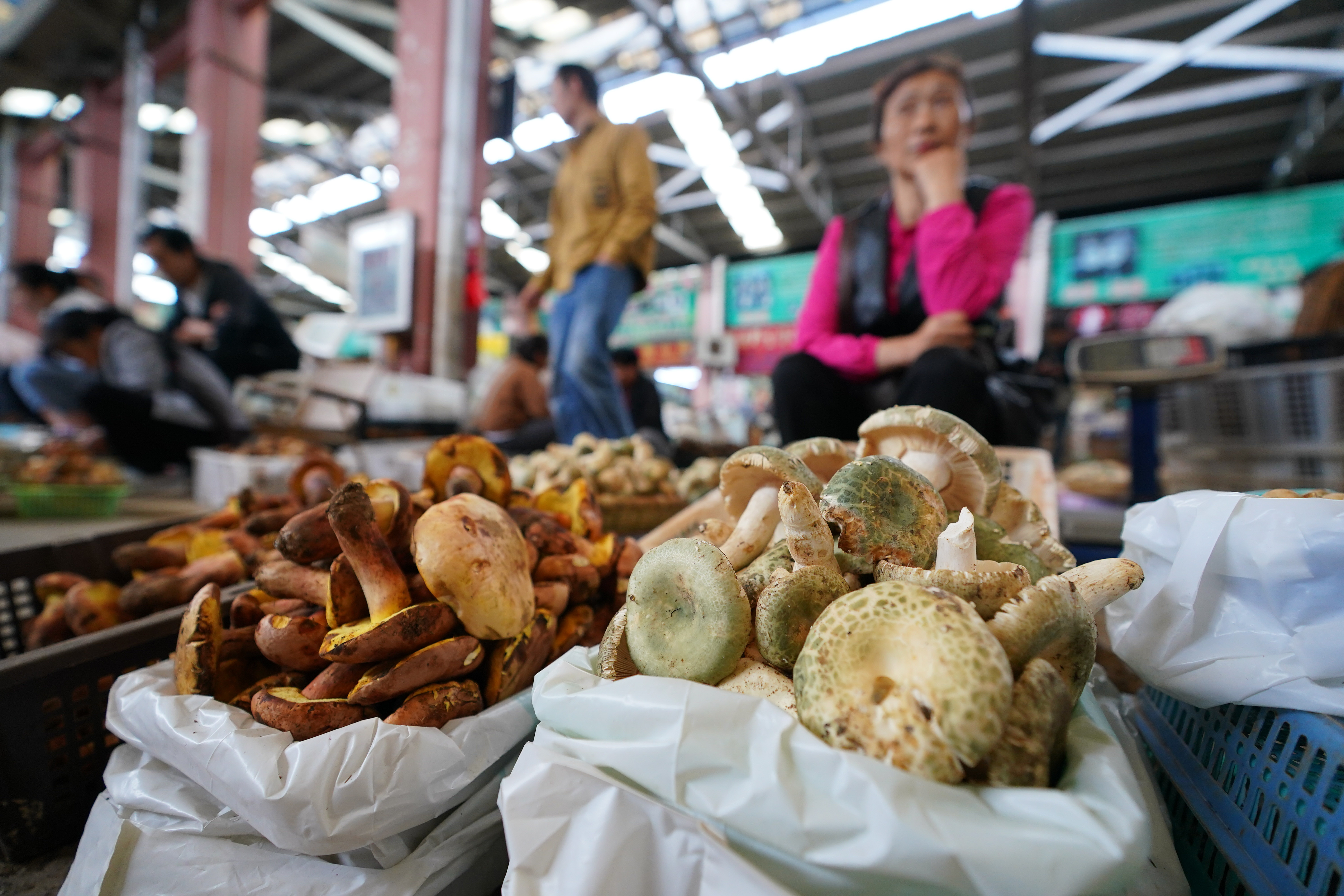 Wild mushrooms on sale at a market in Kunming, Yunnan are seen in this photo taken on June 6, 2023. Yunnan has more than 900 species of wild edible mushrooms, with some 200 species commonly traded in local markets. /CNSPHOTO