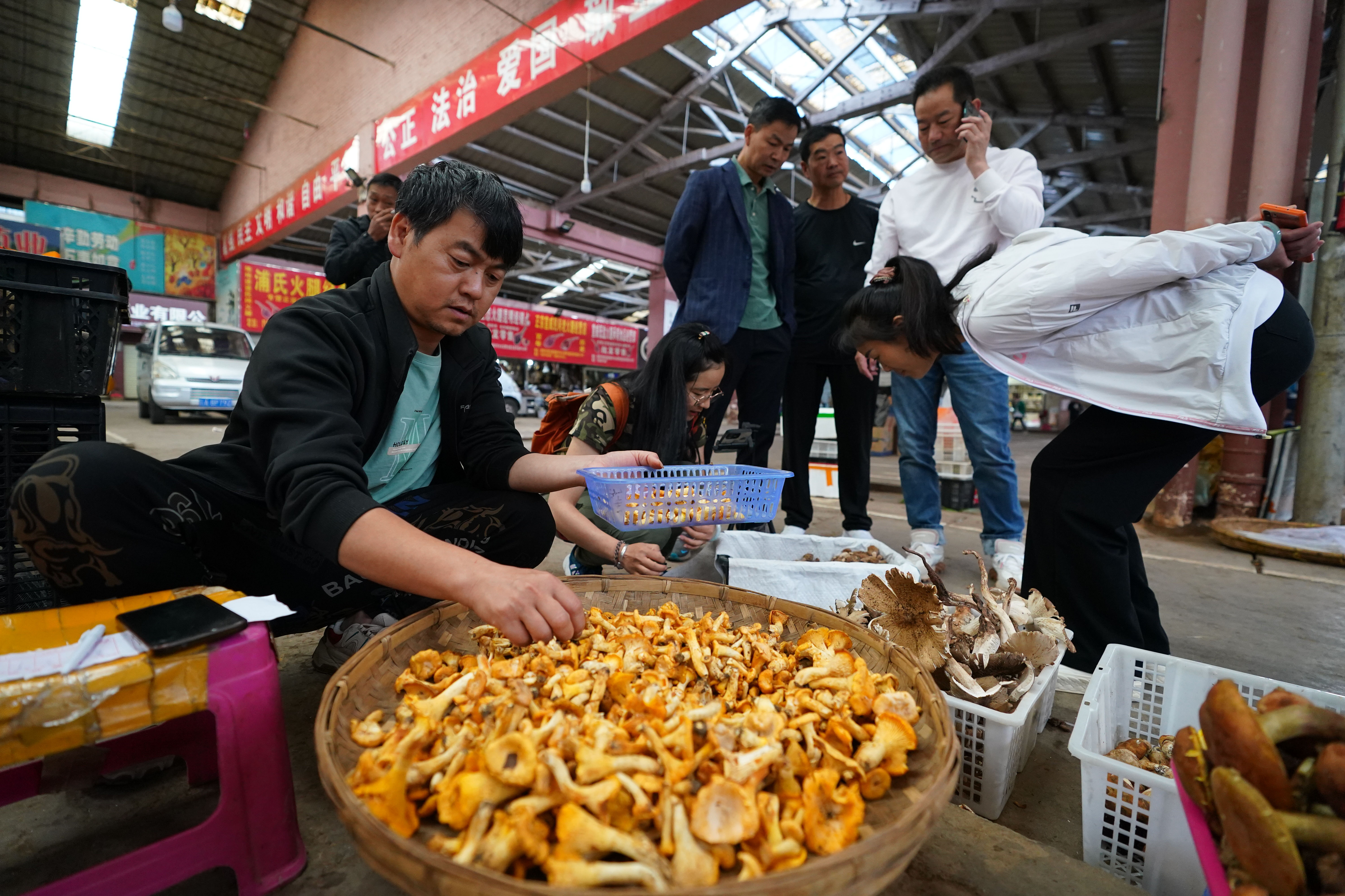 A mushroom vendor packs fresh products for his customers in Kunming, Yunnan, on June 6, 2023. Every year in late June, Yunnan hits its rainy season. Heavy rainfall over the green mountains of the province helps the wild savory mushrooms to grow in abundance. /CNSPHOTO