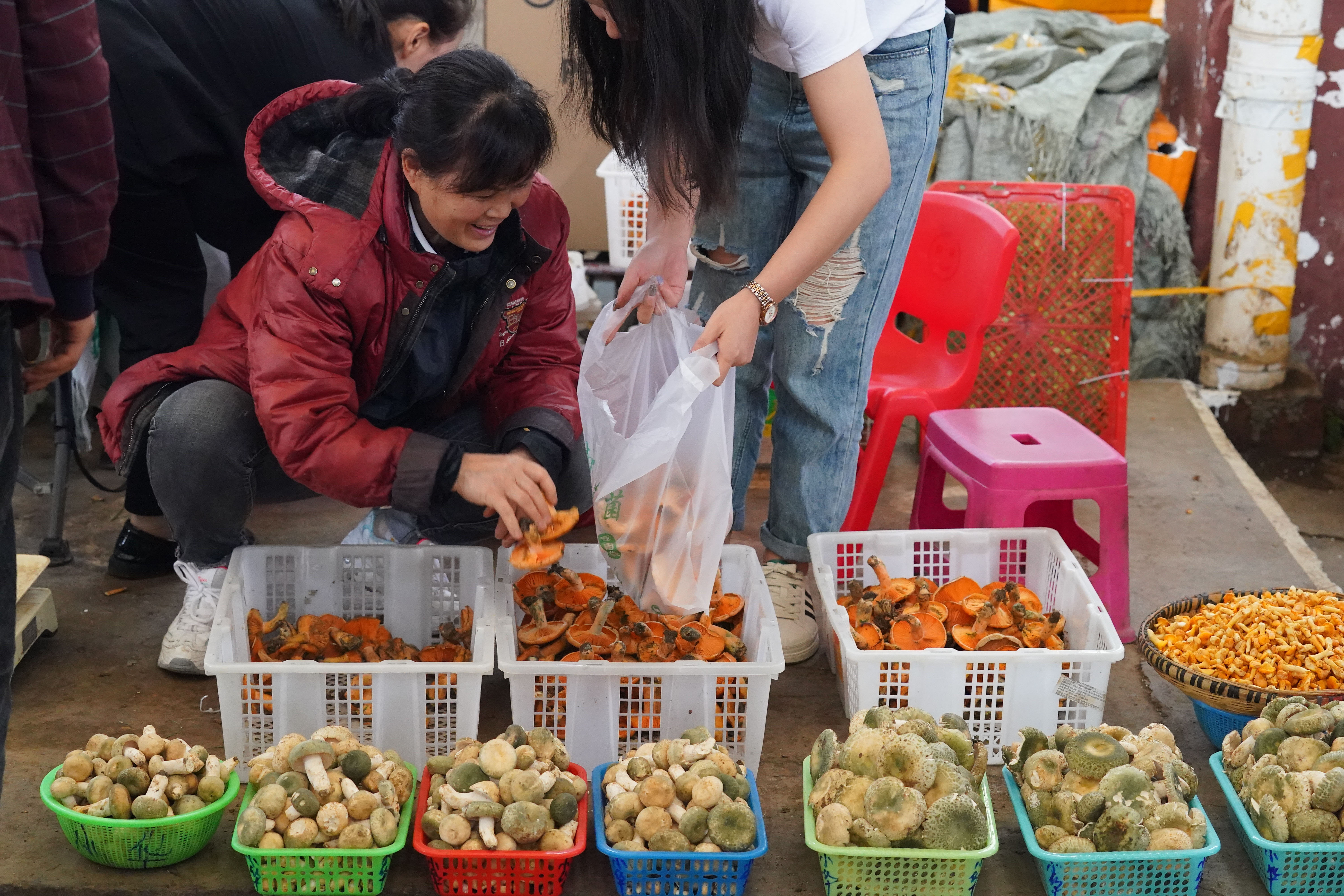 Customers select wild mushrooms at a market in the city of Kunming, Yunnan Province on June 6, 2023. Recently, lots of wild mushrooms of various species have hit the markets of Yunnan. /CNSPHOTO