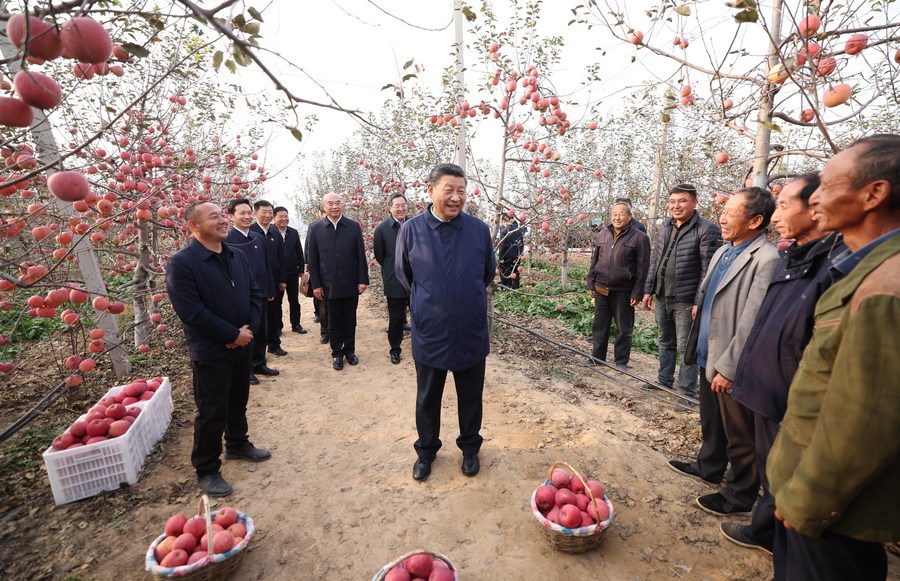 Chinese President Xi Jinping chats with local villagers in an orchard in Nangou Village of Yan'an, northwest China's Shaanxi Province, October 26, 2022. /Xinhua